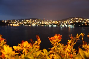 IMG_0017